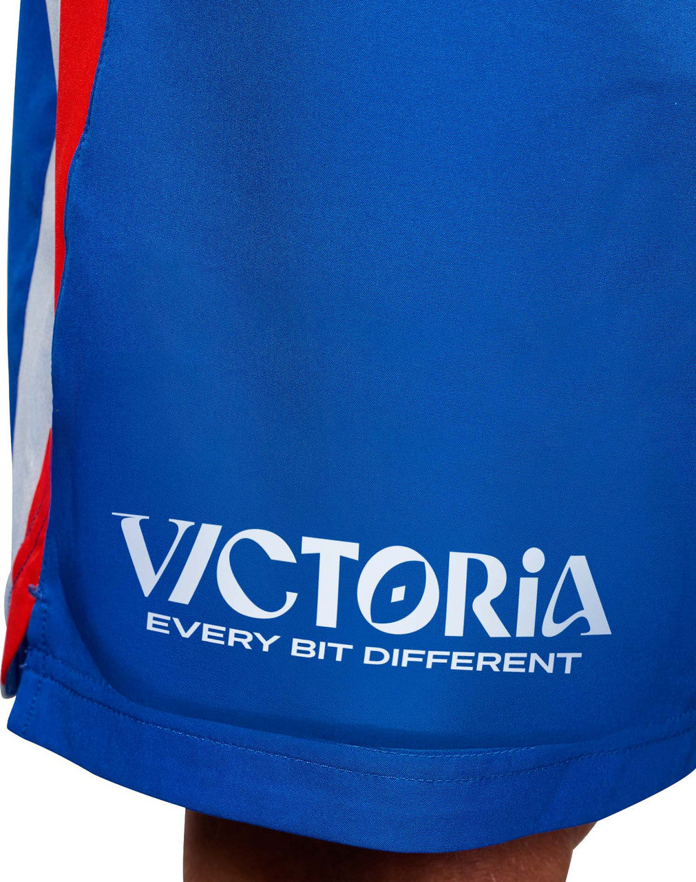 AFL 2026 Gym Shorts - Western Bulldogs - Adult - Mens