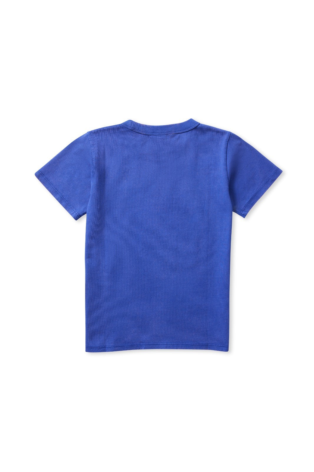 https://i.ebayimg.com/00/s/MTYwMFgxMDY2/z/vasAAeSwURJpuPLU/$_57.JPG?set_id=880000500F
