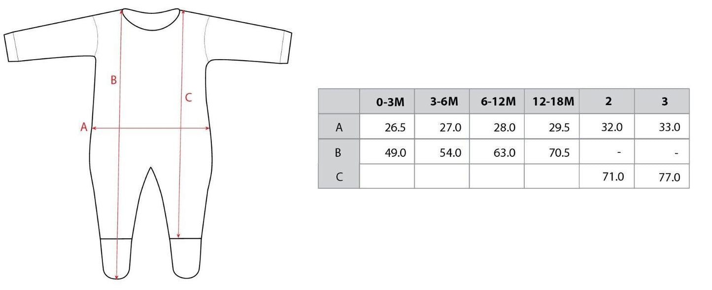 NRL Footy Suit - NSW - WESTPAC - New South Wales Blues -Baby Toddler Infant body