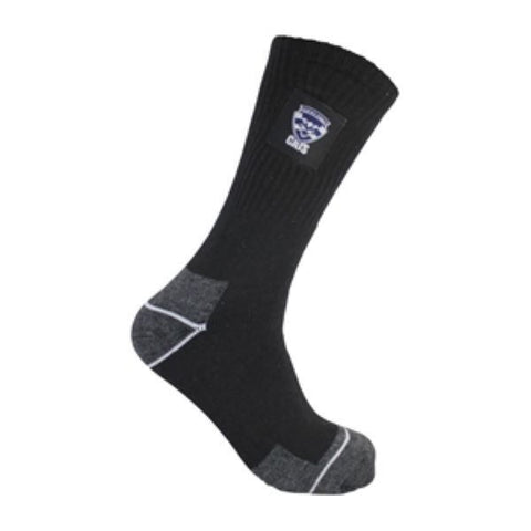 AFL Mens Work Socks - Geelong Cats - Two Pack