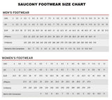 SAUCONY Omni 21 - Alloy/Garnet - Power Run Midsole - Form Fit - Shoe - Mens